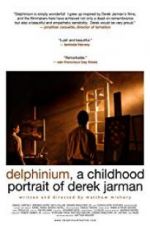 Watch Delphinium: A Childhood Portrait of Derek Jarman Viooz