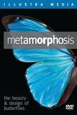 Watch Metamorphosis: The Beauty and Design of Butterflies Viooz