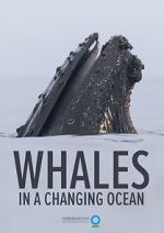Watch Whales in a Changing Ocean (Short 2021) Viooz
