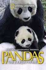 Watch Pandas: The Journey Home Viooz