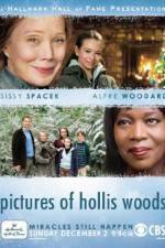 Watch Pictures of Hollis Woods Viooz