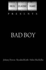 Watch Bad Boy Viooz