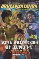 Watch Soul Brothers of Kung Fu Viooz
