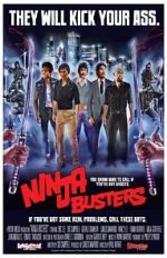 Watch Ninja Busters Viooz