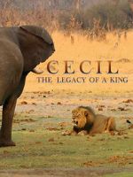 Watch Cecil: The Legacy of a King Viooz