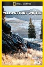Watch National Geographic Yellowstone Winter Viooz