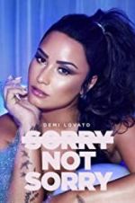 Watch Demi Lovato: Sorry Not Sorry Viooz