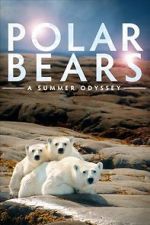 Watch Polar Bears: A Summer Odyssey Viooz