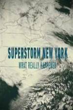 Watch Superstorm New York: What Really Happened Viooz