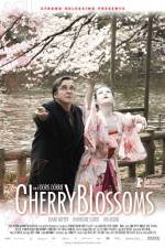 Watch Cherry Blossoms Viooz