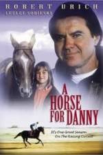 Watch A Horse for Danny Viooz