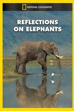 Watch Reflections on Elephants Viooz