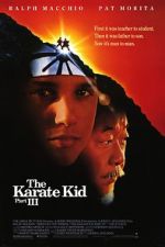 Watch The Karate Kid Part III Viooz