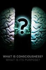 Watch What Is Consciousness? What Is Its Purpose? Viooz