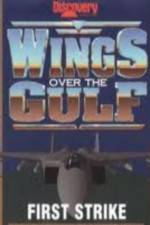 Watch Wings Over the Gulf Vol  1  First Strike Viooz