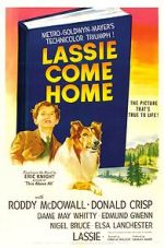 Watch Lassie Come Home Viooz
