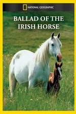 Watch Ballad of the Irish Horse Viooz
