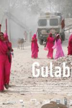 Watch Gulabi Gang Viooz