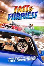 Watch Fast and Furriest Viooz