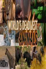 Watch National Geographic - Worlds Deadliest Animal Battles Viooz