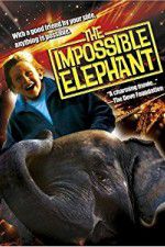 Watch The Incredible Elephant Viooz