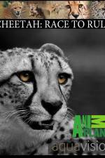 Watch Cheetah: Race to Rule Viooz