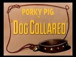Watch Dog Collared (Short 1950) Viooz