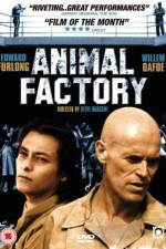 Watch Animal Factory Viooz