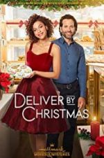 Watch Deliver by Christmas Viooz
