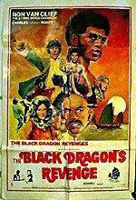 Watch The Black Dragon's Revenge Viooz
