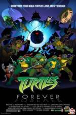 Watch Teenage Mutant Ninja Turtles Turtles Forever Viooz