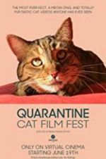 Watch Quarantine Cat Film Fest Viooz
