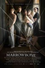 Watch The Secret of Marrowbone Viooz