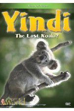 Watch Yindi the Last Koala Viooz