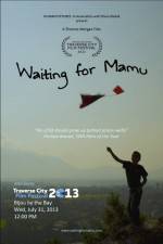 Watch Waiting for Mamu Viooz