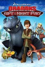 Watch Dragons: Gift of the Night Fury Viooz