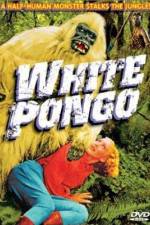 Watch White Pongo Viooz