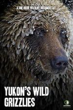Watch Yukon\'s Wild Grizzlies Viooz
