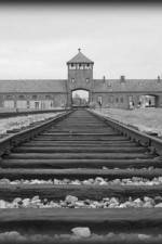 Watch AUSCHWITZ: ORDERS AND INITIATIVES Viooz