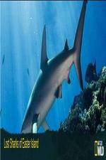 Watch National Geographic Wild - Lost Sharks of Easter Island Viooz