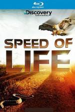 Watch Speed of Life Viooz