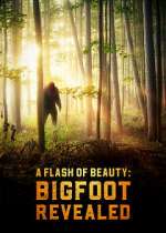 Watch A Flash of Beauty: Bigfoot Revealed Viooz