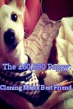 Watch The 60,000 Puppy: Cloning Man's Best Friend Viooz