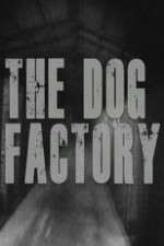 Watch The Dog Factory Viooz