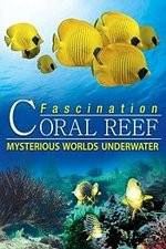 Watch Fascination Coral Reef: Mysterious Worlds Underwater Viooz