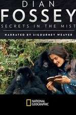 Watch Dian Fossey: Secrets in the Mist Viooz