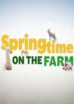 Springtime on the Farm viooz