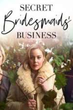 Watch Secret Bridesmaids\' Business Viooz