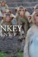 Watch Monkey Planet Viooz