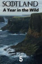 Watch Scotland: A Wild Year Viooz